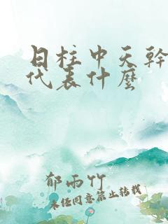 日柱中天干地支代表什么