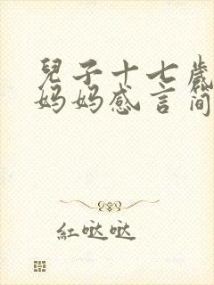 儿子十七岁生日妈妈感言简短精辟
