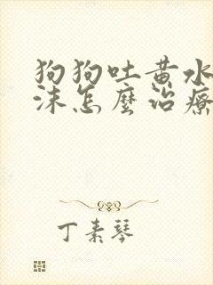 狗狗吐黄水带泡沫怎么治疗