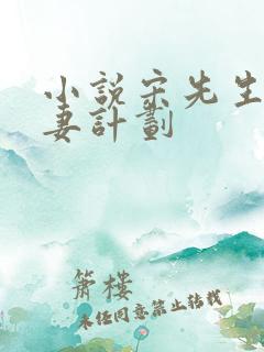 小说宋先生的宠妻计划