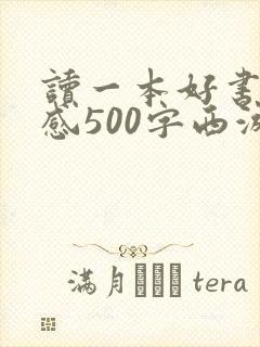 读一本好书读后感500字西游记