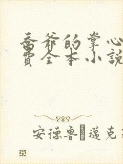 乔爷的掌心娇免费全本小说