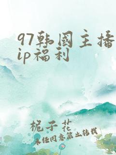 97韩国主播vip福利