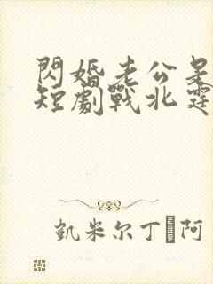 闪婚老公是豪门短剧战北霆