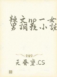 辣文np一女多男调教小说