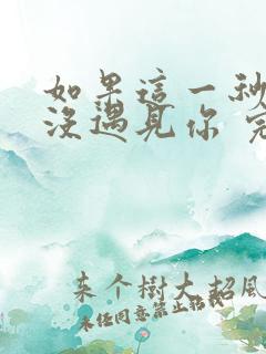 如果这一秒,我没遇见你 完结