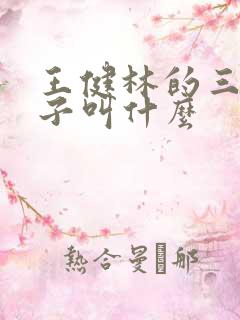 王健林的三个儿子叫什么