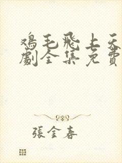 鸡毛飞上天电视剧全集免费播放高清
