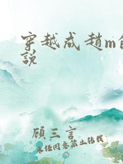 穿越成赵m的小说