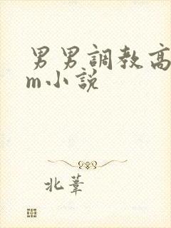 男男调教高hsm小说