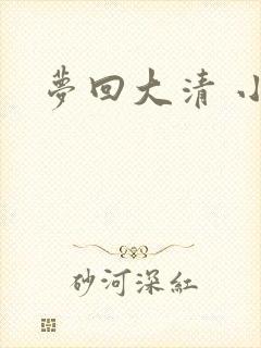 梦回大清 小说