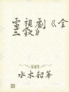 电视剧《金陵十三钗》