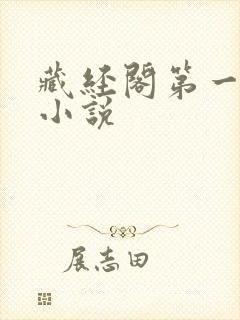 藏经阁第一版主小说