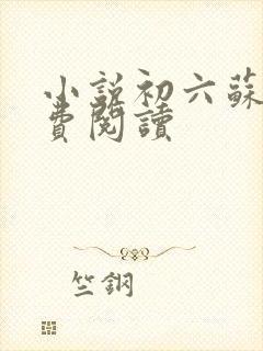 小说初六苏梅免费阅读