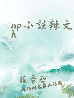 np小说辣文高h