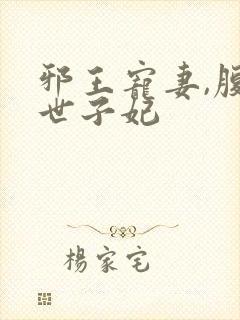 邪王宠妻,腹黑世子妃