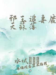 邪王追妻废材逆天苏落