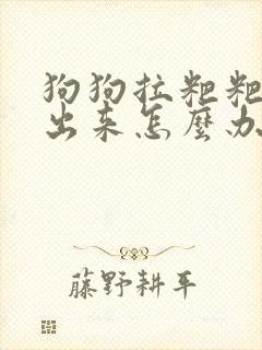 狗狗拉粑粑拉不出来怎么办