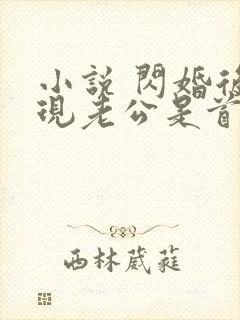 小说 闪婚后发现老公是首富大佬