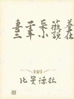 妻子采薇养父陆三平小说在人间