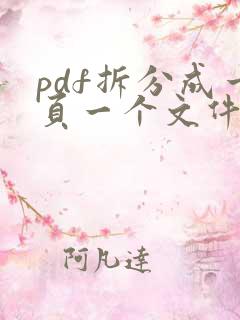 pdf拆分成一页一个文件