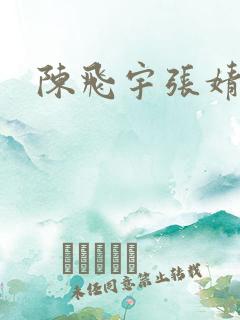 陈飞宇张婧仪
