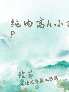 纯肉高h小说np