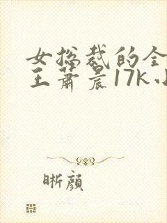 女总裁的全能兵王萧晨17k小说网