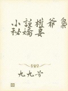 小说权爷枭宠神秘娇妻