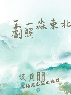 王一淼东北往事剧照
