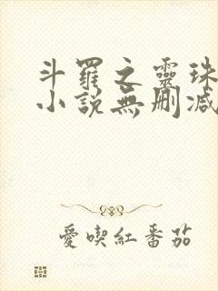 斗罗之灵珠神剑小说无删减