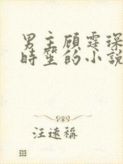男主顾霆琛女主时笙的小说
