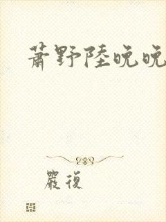 萧野陆晚晚小说