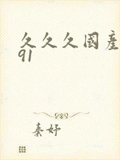 久久久国产精品91