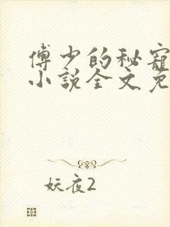 傅少的秘宠娇妻小说全文免费阅读
