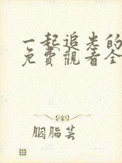 一起追光的日子免费观看全集