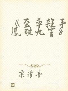 《至尊杀手妃:凤破九霄》