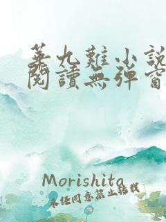 华九难小说在线阅读无弹窗