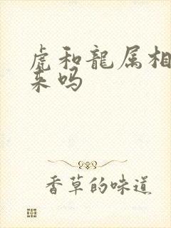 虎和龙属相合得来吗