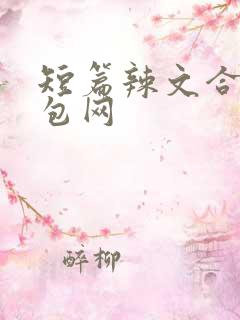 短篇辣文合集书包网