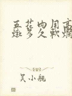 五花肉用高压锅炖多久软烂