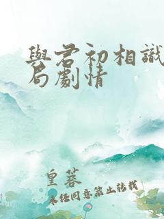 与君初相识大结局剧情