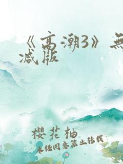 《高潮3》无删减版