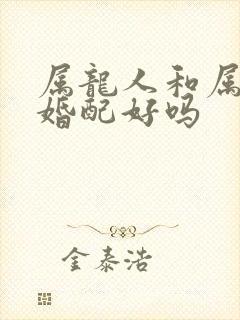 属龙人和属马人婚配好吗