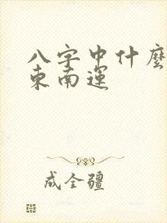 八字中什么叫行东南运