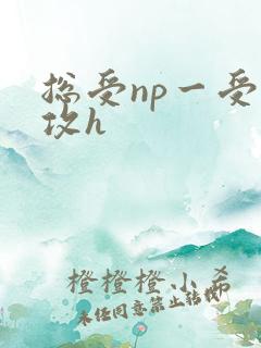 总受np一受多攻h