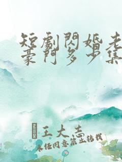 短剧闪婚老公是豪门多少集