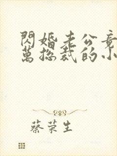 闪婚老公竟是亿万总裁的小说