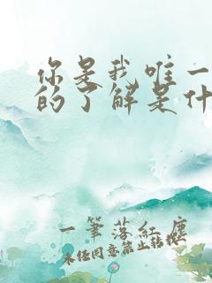 你是我唯一想要的了解是什么歌