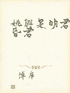 姚兴是明君还是昏君